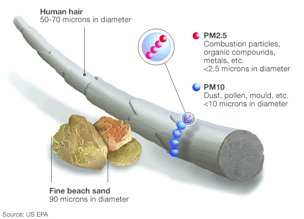 illustration showing the relative sizes of different particulate pollution